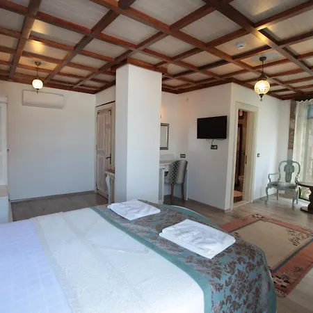 Celsus Boutique 酒店 塞尔丘克