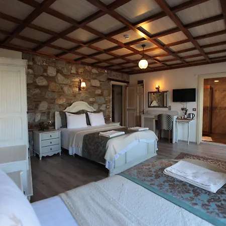 Celsus Boutique 3* 塞尔丘克