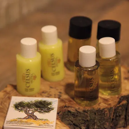 酒店 Celsus Boutique