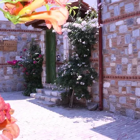 Hotel Celsus Boutique