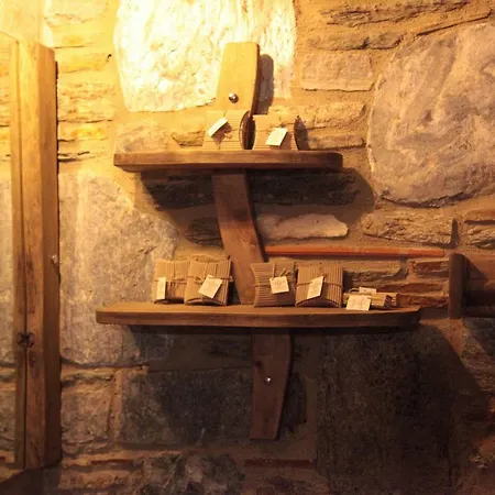 Celsus Boutique 3* 塞尔丘克