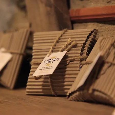 酒店 Celsus Boutique 塞尔丘克