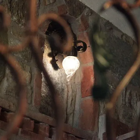 Celsus Boutique 3* 塞尔丘克