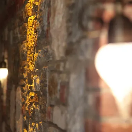 酒店 Celsus Boutique 塞尔丘克